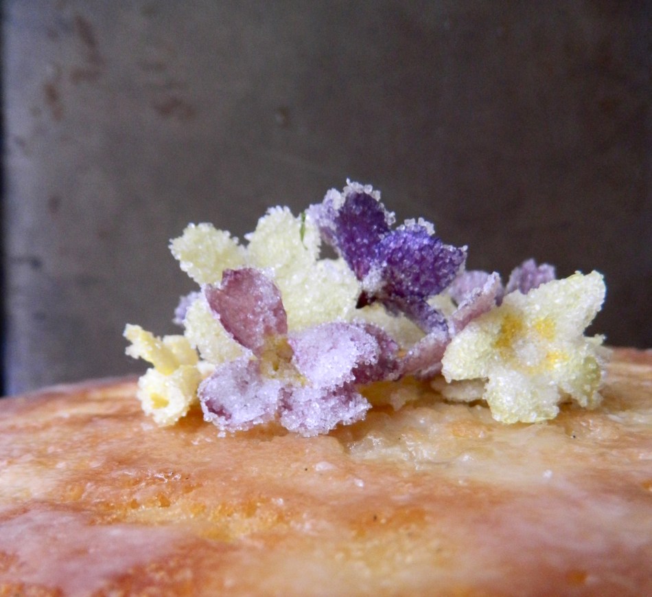 Crystallised primroses on cake