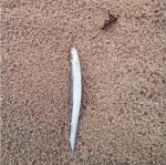 Screen Shot 2015-12-30 at 18.26.44