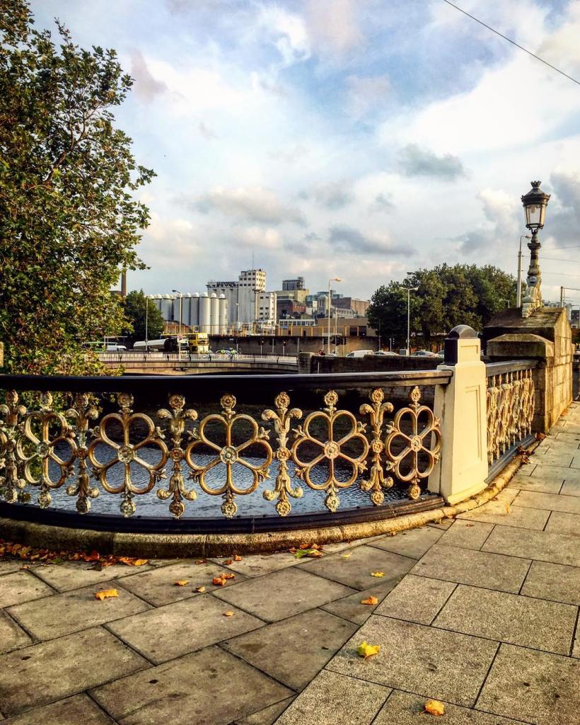 14733128_336390316716086_1002396537403211776_n