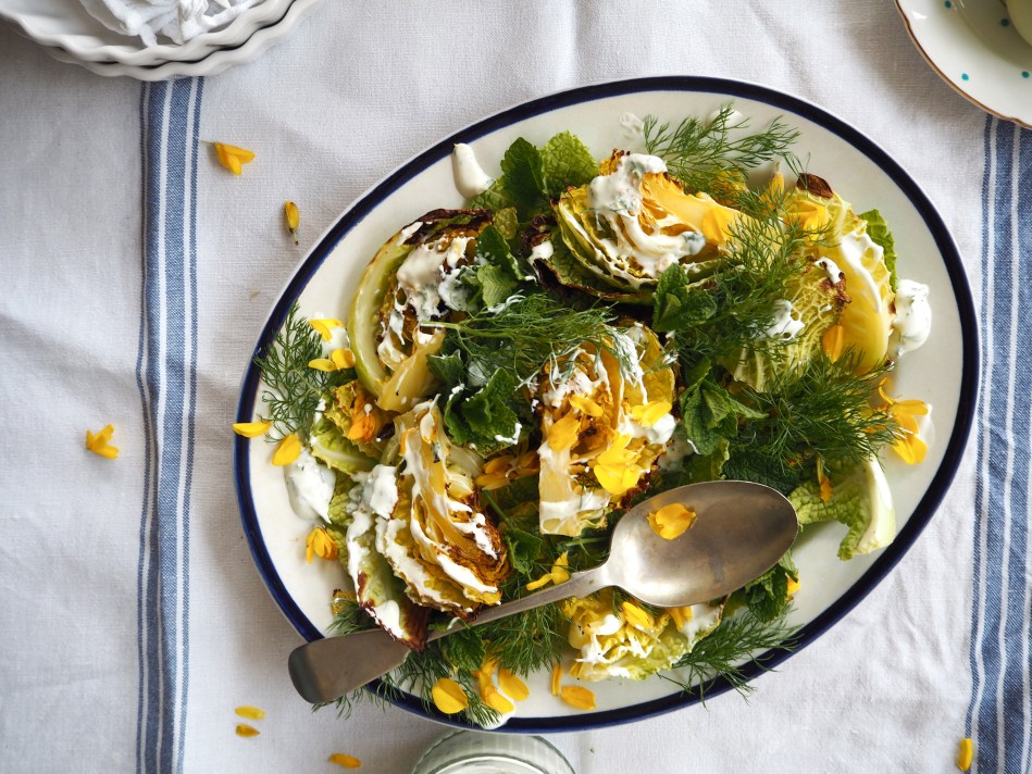 Gorse & grilled savoy cabbage salad
