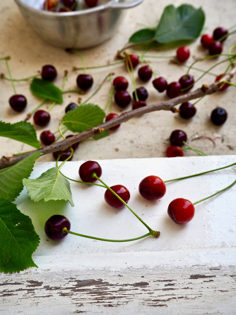 wild-cherries-edible.jpg